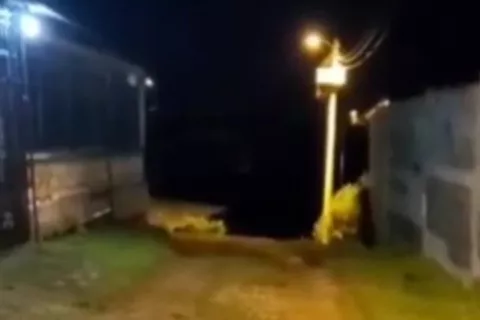 Acribillan a joven de 26 años de varios balazos en Villas del Caribe, en Colón