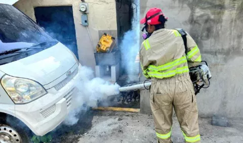 Disminuyeron los casos de dengue durante la pandemia