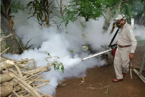 Minsa afirma que casos de dengue, enfermedades gastrointestinales y otros virus han bajado para este año, tras el confinamiento en las casas