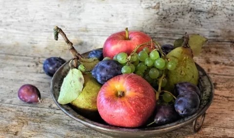 Encuesta acerca de los hábitos alimentarios en pandemia: Decisiones sobre la dieta durante cuarentena