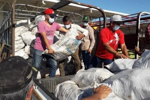 Ministro del Mida llamará a una reunión de cadena agroalimentaria para autorizar la importación de cebolla