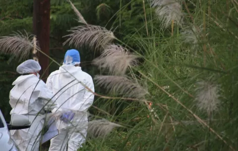 Autoridades exhuman los restos del hombre descuartizado en el Majagual, Veracruz