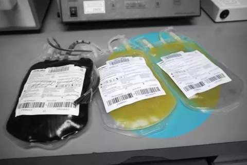 Decrece donación de plasma convaleciente, a pesar del alto porcentaje de recuperados por la COVID-19