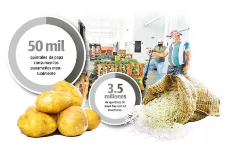 Productores aseguran que no hay necesidad de importar