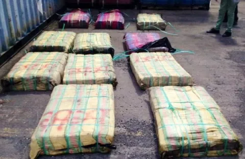 Senan incauta 776 paquete de droga durante operativo en el puerto de Cristóbal