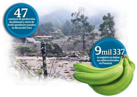 Mida calculó en $11 millones las pérdidas en el sector agro por el huracán ETA