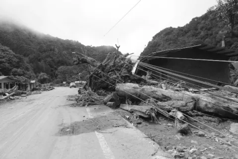 Sobre la superación  de las tragedias