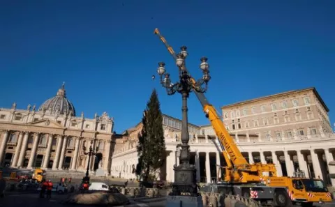 El árbol de Navidad del Vaticano ya llegó a la Plaza de San Pedro