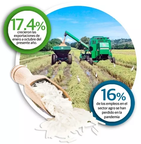 Sector agropecuario crece, pero los productores  esperan más