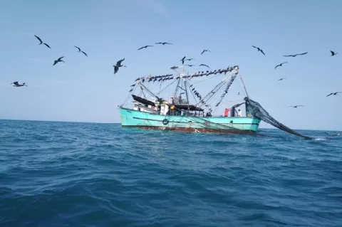 Panamá se suma a la Declaración de Copenhauge  y reafirma su compromiso contra la pesca ilegal