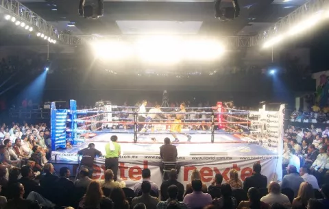 Pandemia le está dando lucha al boxeo panameño