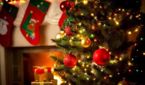Curiosidades de la Navidad en el mundo 