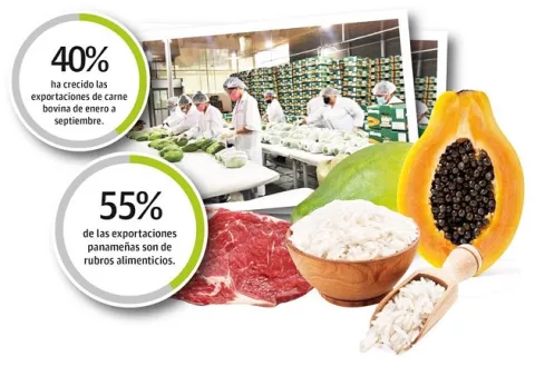 Exportaciones panameñas decrecen un 10% en medio de la pandemia