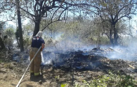 Chiriquí inicia la campaña de prevención de incendio de masa vegetal