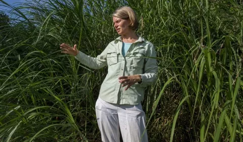 La científica Kristin Saltonstall realizó un estudio para determinar el origen de la paja canalera