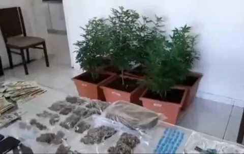 Policía Nacional incauta plantones de marihuana, tras allanamiento a un apartamento en San Francisco