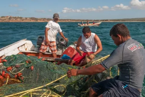 Solicitan al presidente Laurentino Cortizo que emita un veto parcial al proyecto de ley de Pesca y Acuicultura