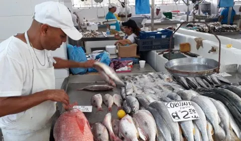 Pescadores se oponen a posible veto de proyecto que regula la actividad