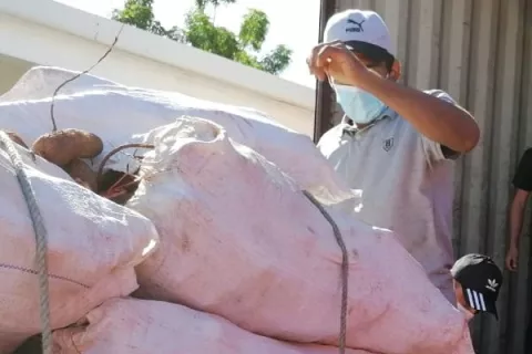 Venta de productos al programa Panamá Solidario ha beneficiado a más de 400 productores de Ocú y Pesé
