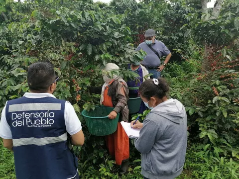 Mitradel y Defensoría del Pueblo divulgan normativa sobre trabajo infantil en zonas cafetaleras de Renacimiento