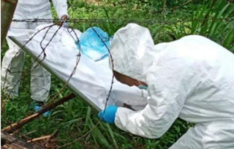 Hombre se quita la vida en una plantación de palma de aceite en el distrito de Barú