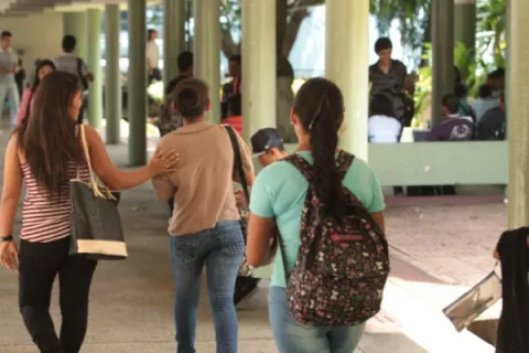 Un 60% de estudiantes de universidades privadas ha logrado mantenerse dentro del sistema en medio de la pandemia