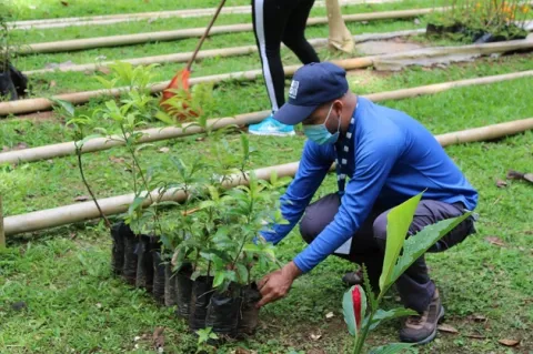 MiAmbiente reactiva vivero en El Cacao para reforestar cuencas hidrográficas de Capira