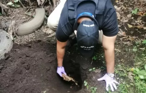 Autoridades allanan residencia en David y encuentren arma de fuego enterrada en el patio