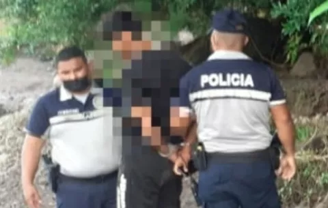 Desmantelan otra gallera clandestina en la provincia de Chiriquí