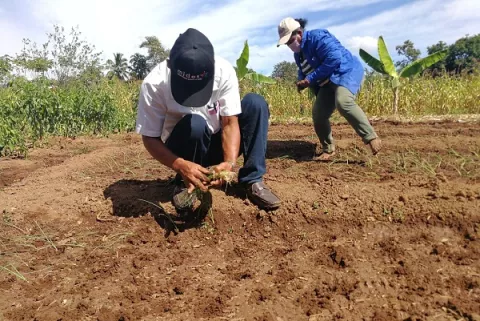 Incluyen a seis nuevos corregimientos de la provincia de Coclé al plan de Senapan