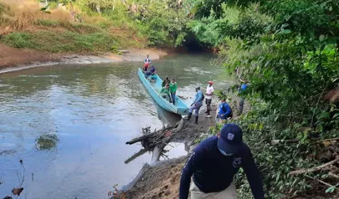 Ministerio Público  investiga tala de más de 188 hectáreas en la provincia del Darién 