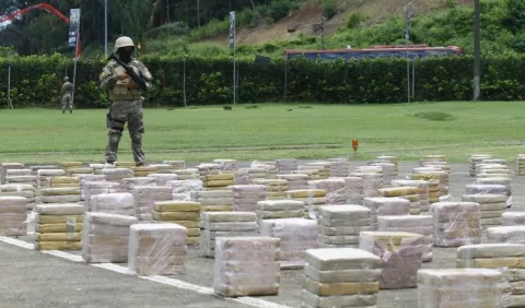 ¡Atención! Se abrieron 11.7 procesos diarios en Panamá por delitos de drogas durante el  2020 