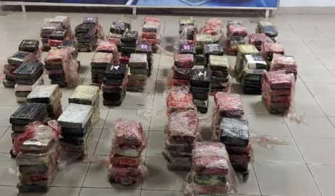 Cárteles de droga logran aumentar su producción de sustancias ilícitas con nuevas estrategias 