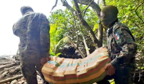 81 toneladas de drogas fueron capturadas durante el año 2020, según el Ministerio de Seguridad Pública