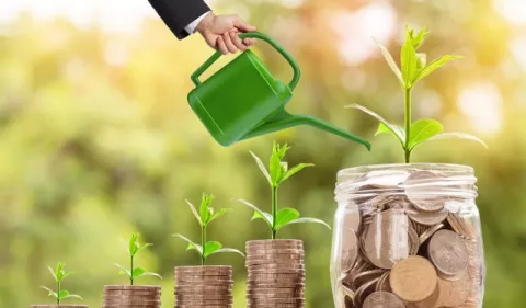 Educación financiera: Capacitación temprana de los ciudadanos financieros de las nuevas generaciones