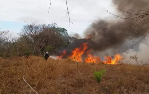 Autoridades se preparan para enfrentar incendios de masa vegetal en la región de Azuero