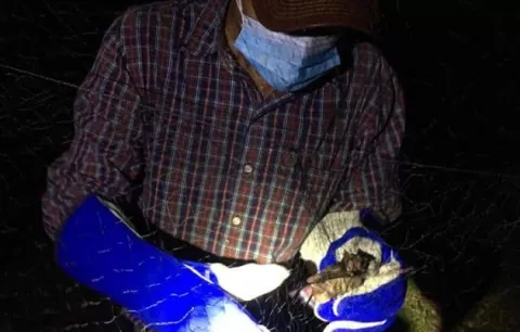 Mida pide a ganaderos notificar enfermedades de sus animales para darles apoyo