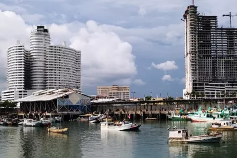 Ambientalistas, sector del turismo y científico de Panamá auguran avances hacia una nueva ley de pesca 