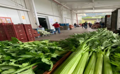Mejor producción y venta agrícola nacional, la esperanza del 2021