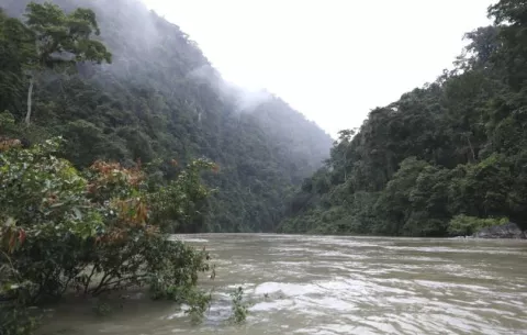 MiAmbiente presenta al Comité Nacional de Cambio Climático aporte del país en la mitigación de la crisis climática