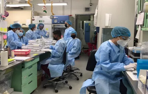 Detectan casos con la mutación D614G del virus de la covid-19 altamente contagiosa en Panamá