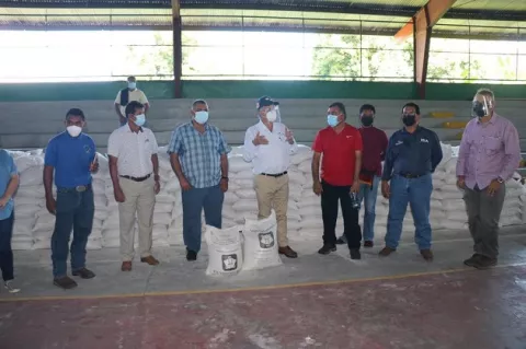 Productores de plátano de Barú reciben apoyo que supera los $400 mil