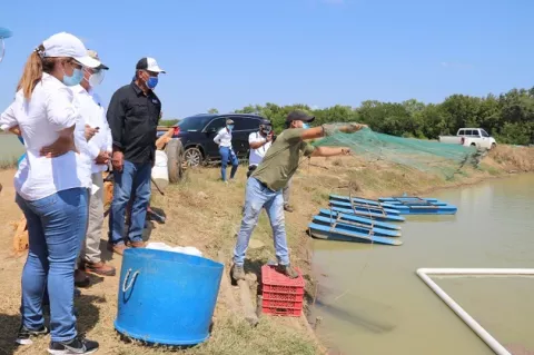 Acuicultura, una nueva fuente de ingresos para los productores