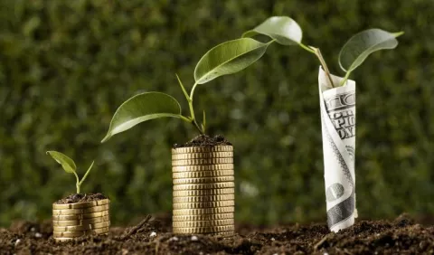 Consejos  para manejar los ingresos