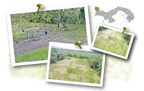 Invasiones ilegales en fincas privadas imperan en Bocas del Toro, ante la inacción de las autoridades competentes 