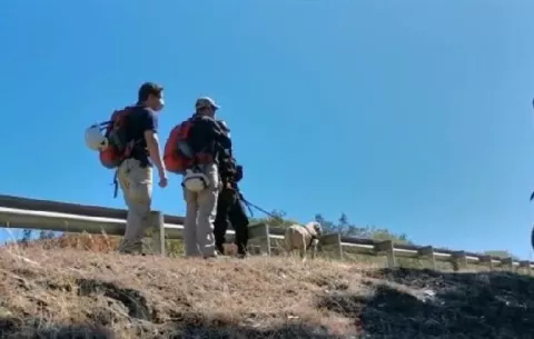 Chile se vuelca en la búsqueda de un niño de 3 años desaparecido hace días