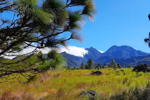 Desde la apertura de las áreas protegidas más de 500 turistas han subido al volcán Barú