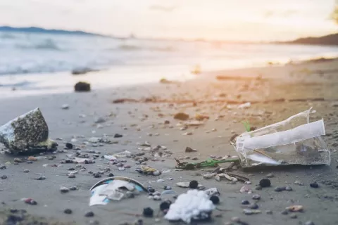 Contaminación por plásticos: catástrofe planetaria que urge de un tratado internacional