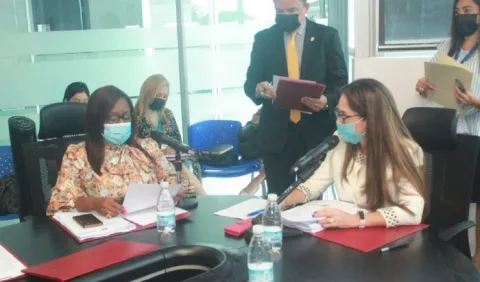 Subcomisión revisará proyecto de protección integral a los menores