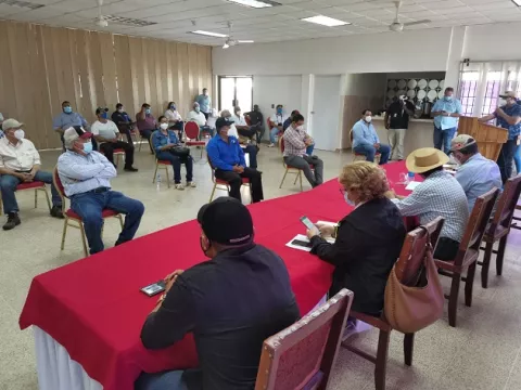 En pruebas finales  para exportar carne a EE.UU.
